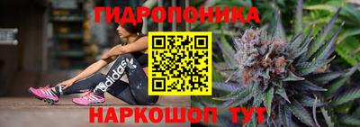 круглые Лесосибирск