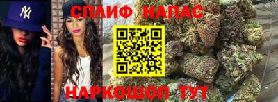 Альфа ПВП Ливны