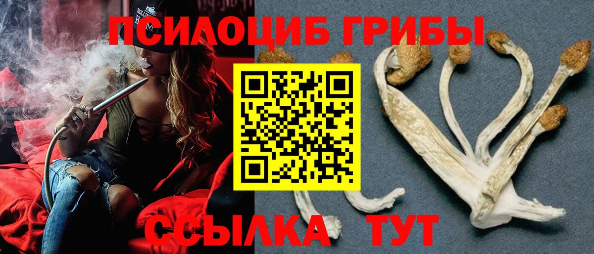 где найти   Галлюциногенные грибы Cubensis  Вход с VPN  Ижевск 