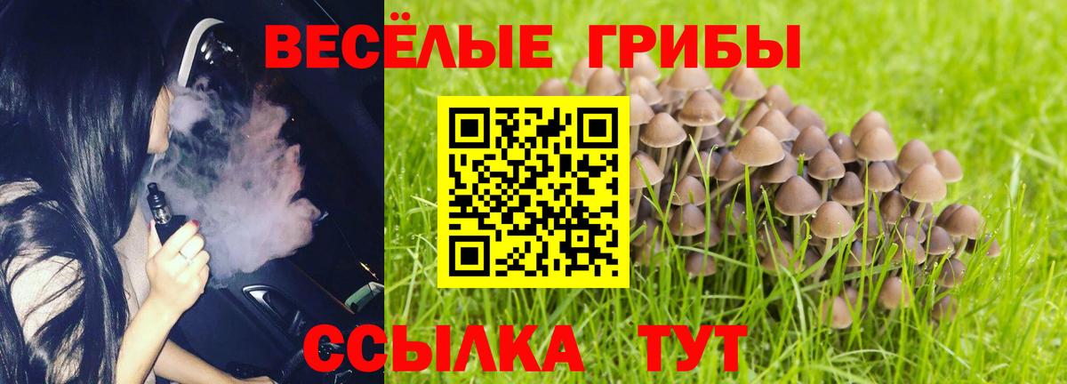 Псилоцибиновые грибы GOLDEN TEACHER Ижевск
